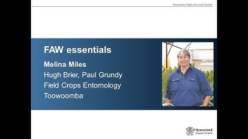 Fall armyworm - the essentials!