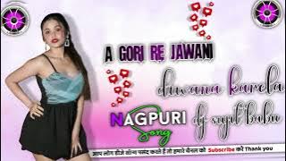 A GORI RE TOR JAWANI DIWANA KARELA  !!  OLD ADHUNIK NAGPURI DJ SONG  !!  OLD NAGPURI DJ SONG...!!! 