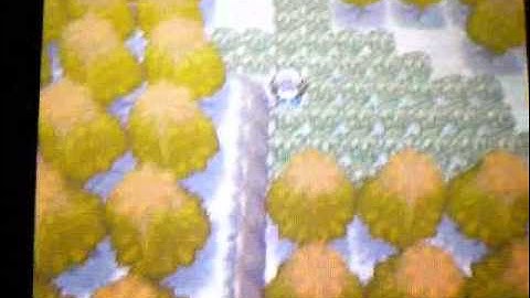 Pokemon Black & White 100% Catch Rate Action Replay Code!