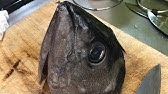 簡単なカツオのおろし方 Vol 24 Youtube