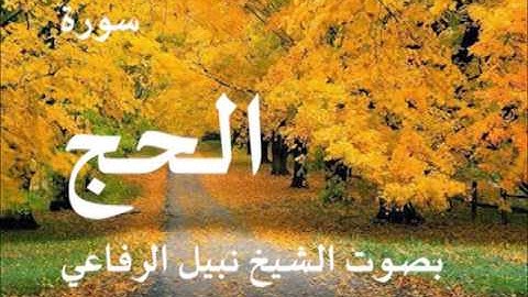 سورة الحج بصوت الشيخ نبيل الرفاعي