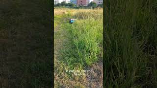 B2B Lawn Equipment – Koham B2B Wholesale Lawn Mower Deals