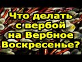 Магические и целебные свойства вербы. Ритуалы на Вербное Воскресенье (25.04.2021)