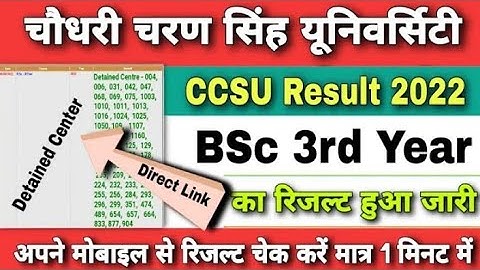 ccsu result 2022 | ccsu bsc 3rd year result 2022 | ccs university result 2022 bsc 3rd year