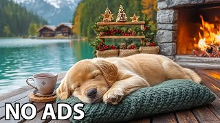Download Lagu 12 Hours Gentle Piano Tunes for Dogs 🐾 Deep Sleep \u0026 Anti-Anxiety Music 🎹  💕Dog Music To Calm Them MP3