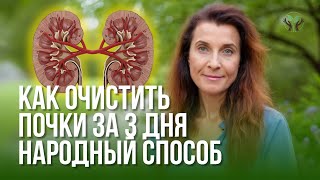 Очищение почек от оксалатов. Профилактика камней в почках