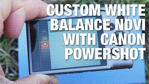 Canon Infrared Conversion NDVI for Vegetation Stress Custom White Balance Leads to Better Results