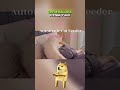 My Cat Fired Me &amp; Hired a Robot 🤖🐱 | PETLIBRO Automatic Feeder #shorts