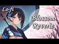 【Lofi】Blossom Reverie【睡眠導入/sleep music, 作業用/working music】