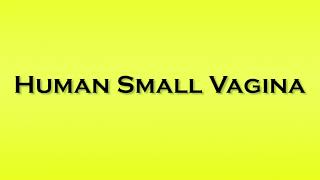 Pronunciation Of Human Small