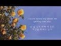 Lauv - Getting over you 가사/해석/번역/자막/lyrics/korean