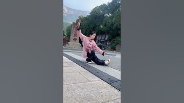 Tai Chi Push Hands Explained Mastering Space and Weight Shifts