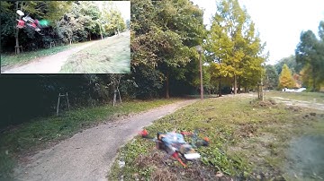 RCX 250 QUAD vs Blackout Clone Race