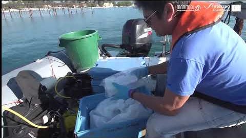 Step 2. DGT deployment | Water assessment tutorial