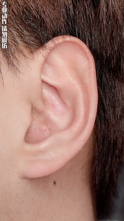 f9f32e135c52440eb90501f567a59ae6