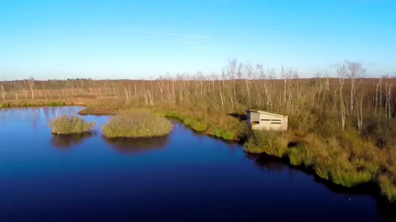 Zandvlakte Nederland overzicht; van zandverstuiving tot woestijn en duinen - Reisliefde