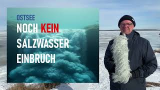 Das aktuelle Seewetter vom 20. Februar 2026 mit Stefan Kreibohm (ReUpload)