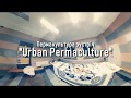Urban Permaculture in Ukraine University