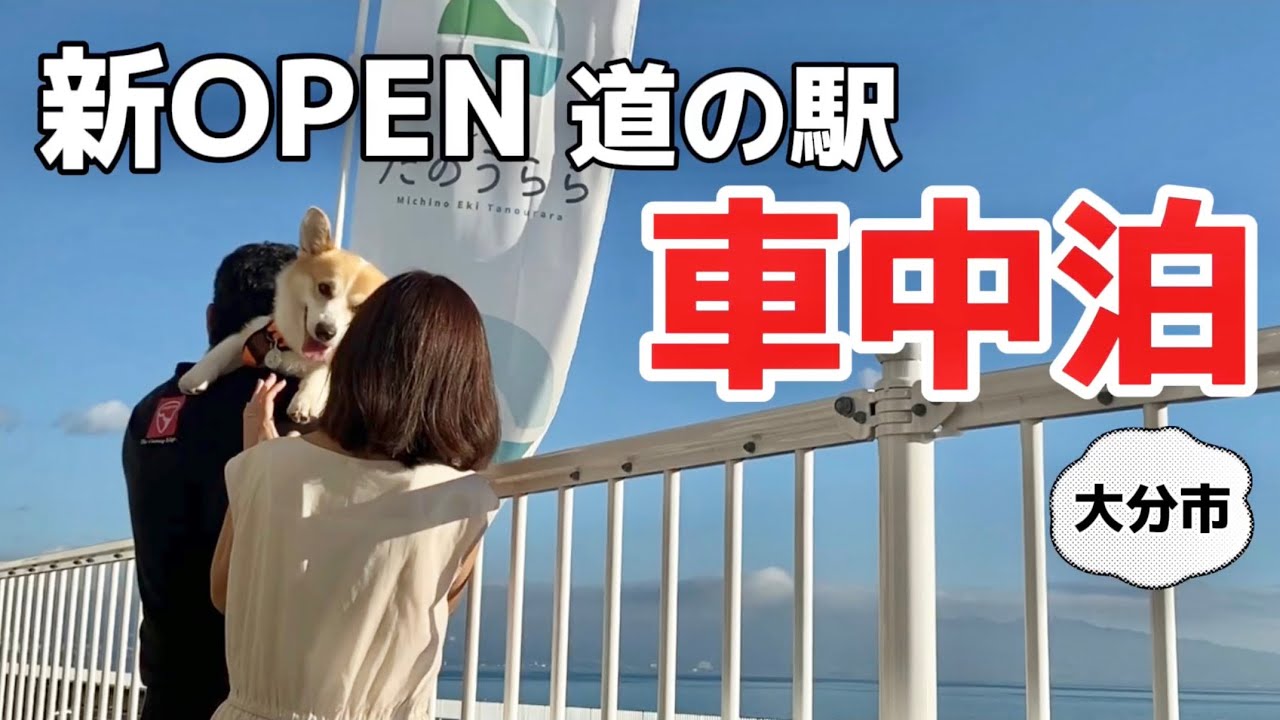 【大分道の駅たのうらら】国道沿いに新しく出来た海の見える道の駅で車中泊🚗車内での暑さ対策。大容量のポタ電BLUETTI🌼.*