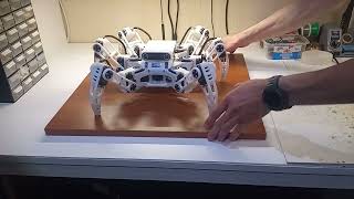 Hexapod Robot con stabilizzazione automatica