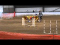 Dally--Dayton Dog Training Club Masters STD 4 Dally--Dayton Dog Training Club Masters STD 4