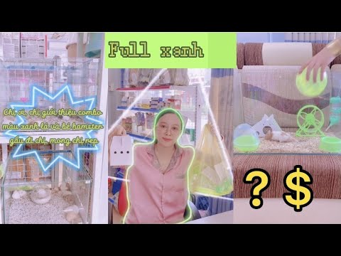 Video Combo vật dụng Hamster toàn Xanh giá bao nhiêu LoHa... - youtube