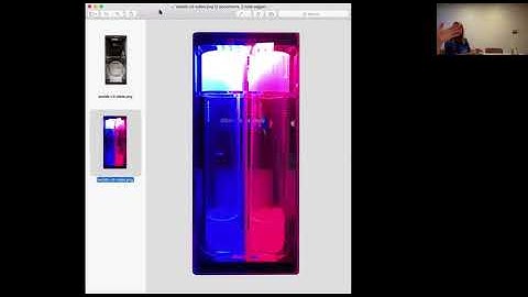 Professor Lewis Feldman at UC Berkeley on Why Arabidopsis Thaliana