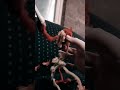 catnap death
