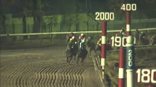 Vidéo de la course PMU PRIX DIABLO FUERTE