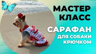 Вяжем платье (сарафан) для собаки крючком: Мастер-класс | Dress for a dog by crochet: master class