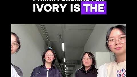 Video 4 - Elephants - Panel discussion 