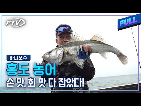 <strong>홍도</strong> 괴물 농어 마릿수로 낚아보자![바다포수/61회]