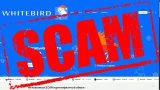 WhiteBird — SCAM! Крадут КРИПТУ #whitebirdio, #whitebird
