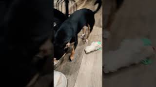 Today My Mom Said She No Longer Loves Me