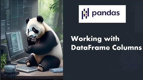 [02] Python Pandas Tutorial : Data Cleaning - Working with Columns of the DataFrame - Part1