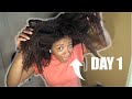 Why I Don't Show Day 1 Hair...