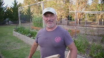 Using The Build A Frame For My Tomatoes