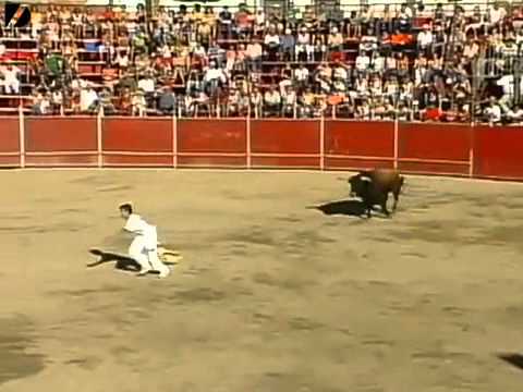 ثور مسخره حلف ما يقعد في اسبانيا