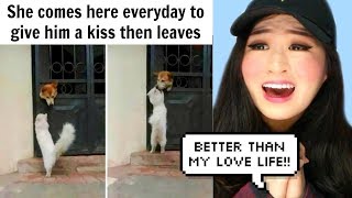 The Happiest Dog Memes Ever That Will Make You Smile