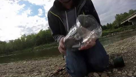 How to Make a Plastic Bottle Minnow Trap.