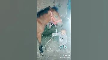 احنا الصعايدة 
