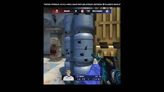 leckr 1vs2 clutch T post plant situation
