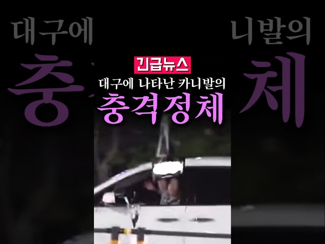 (속보) 대구에 나타난 카니발의 충격 정체...