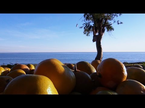 Море,озеро,река