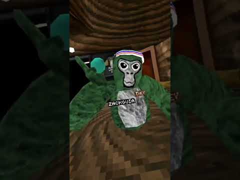 @Zack-guia edit #gorillatag #gorillatagquest #gtag