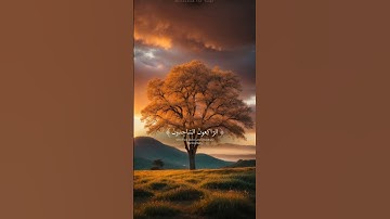 التَّائِبُونَ الْعَابِدُونَ الْحَامِدُونَ 🤲💜|| سورة التوبة || الشيخ ياسر الدوسري.