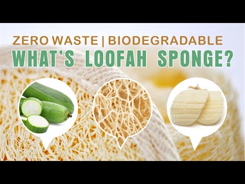 Video: Hvad Er Loofah