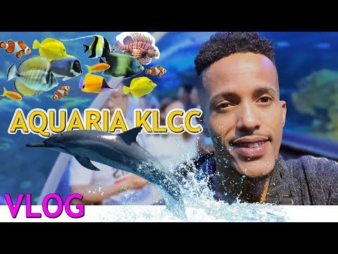 aquaria-klcc---arimaheena-vlog-#75