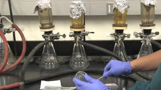 Coliform Bacteria Analysis