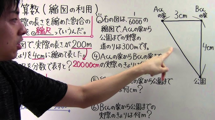 小６ 算数 小６ １９ 拡大図と縮図 Youtube
